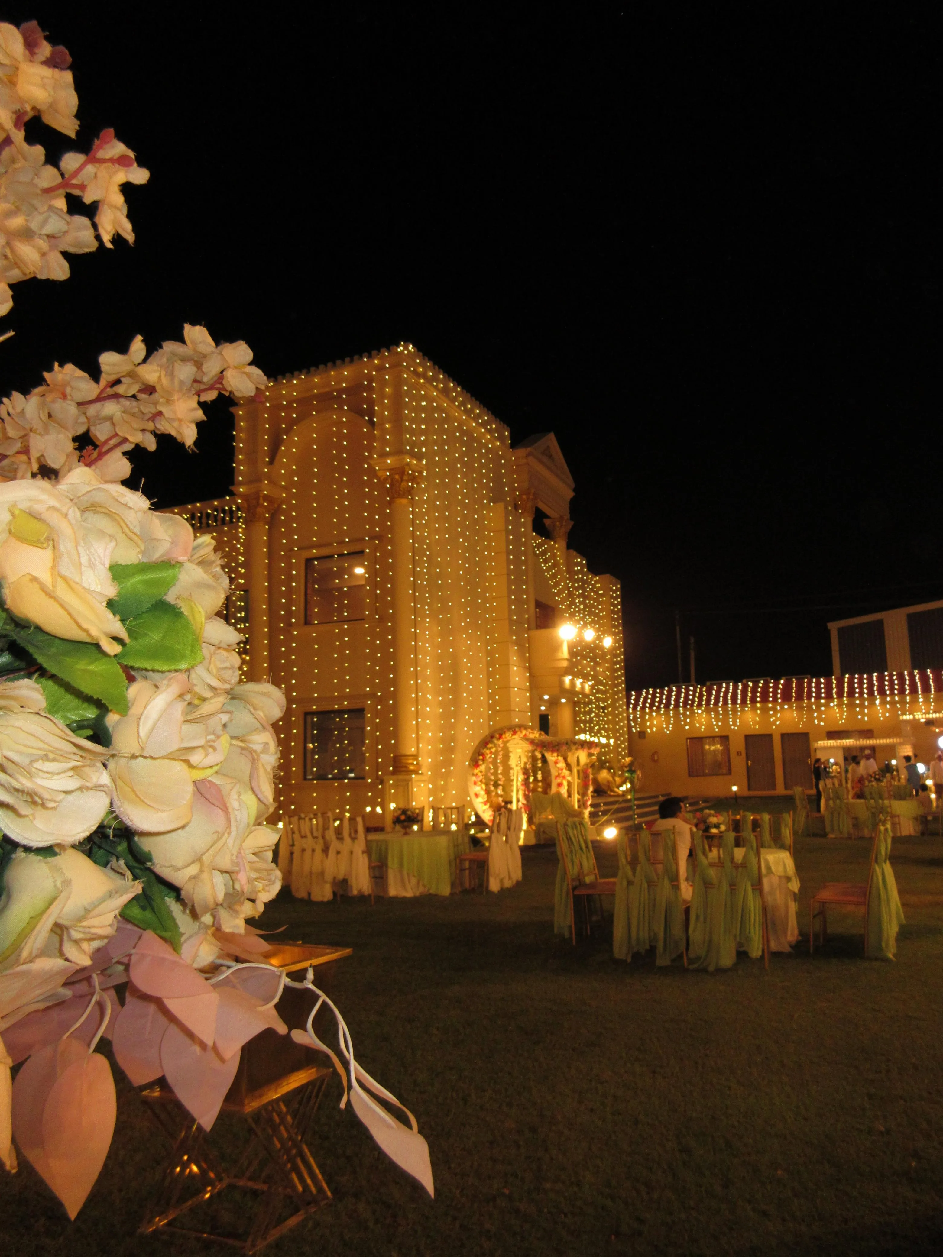 Image 12